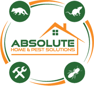 Absolute Home and pest solutions